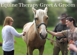 Equine Therapy Greet & Groom - with Alina, Natasha & Shine - 4pm $55pp