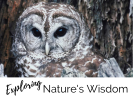 Exploring Nature's Wisdom ~ with Mary-Catherine Waymouth & Richard Capener 7pm