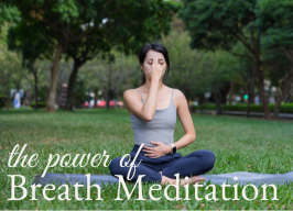The Power of Breath ~ 7pm Meditation