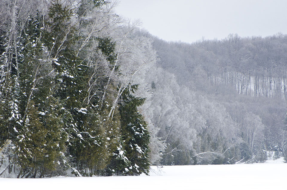Winter Scenes at Grail Springs